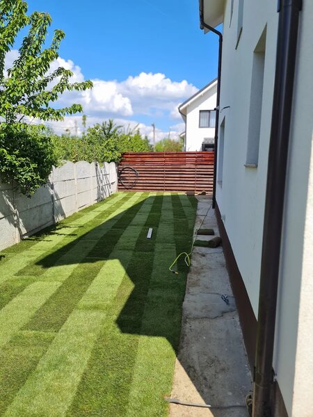 Dream Green - Amenajari si intretinere spatii verzi