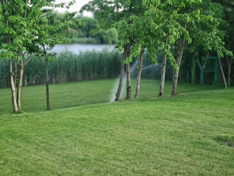 Dream Green - Amenajari si intretinere spatii verzi