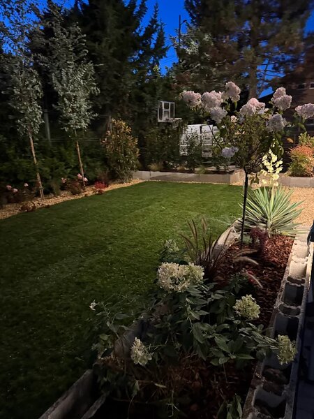 Dream Green - Amenajari si intretinere spatii verzi